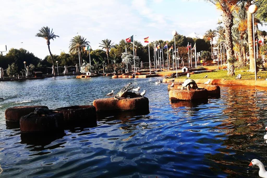 Adventure Harbour Apartment Torrevieja Bagian luar foto