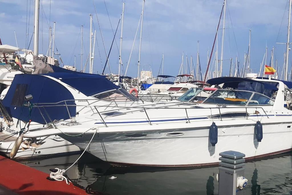 Adventure Harbour Apartment Torrevieja Bagian luar foto