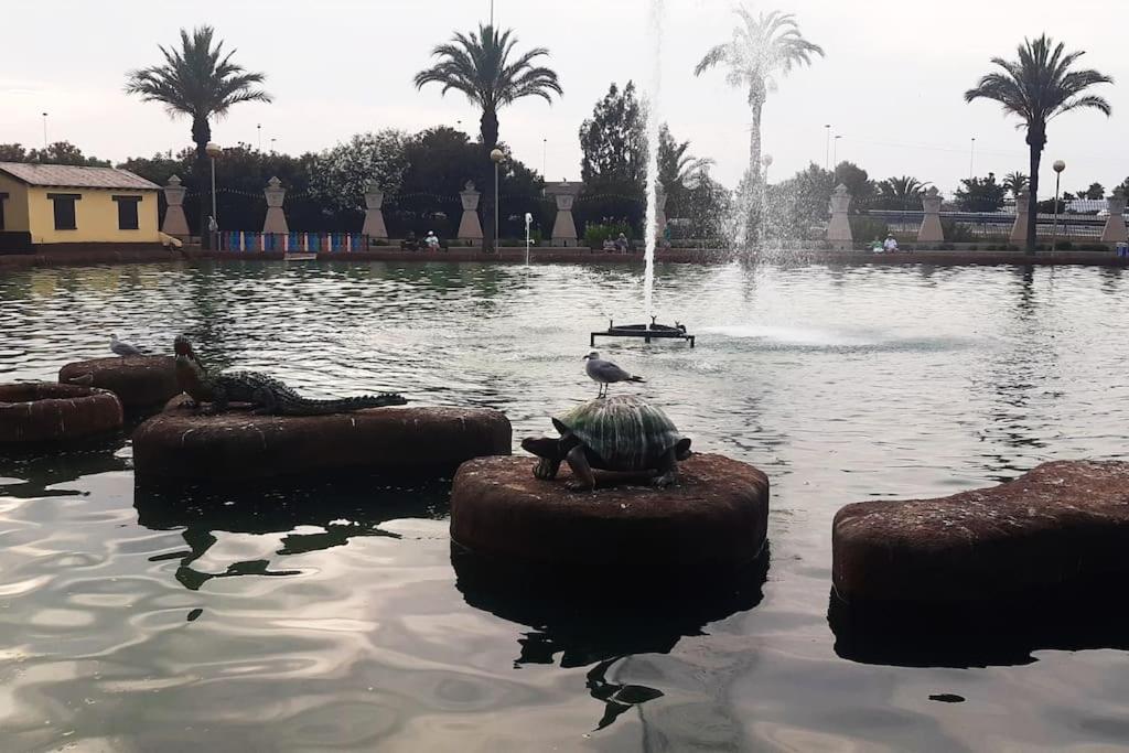 Adventure Harbour Apartment Torrevieja Bagian luar foto